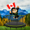 Jumpflex® Trampolines now available in Canada! 🇨🇦
